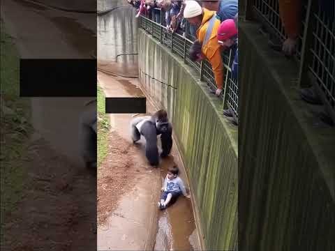 masaAllah nice #video#viral#usa#uk #love#shortvideo#funny#bangla#arabic#india
