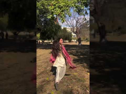 Jagvir Gill New Song | Jatt Di Report Jamma OK Aa 🎵