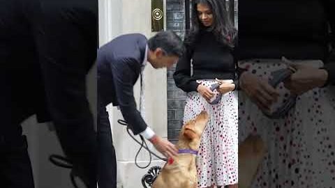 Prime Minister Rishi Sunak and his wife buy poppies outside 10 Downing Street
