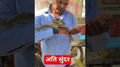 अति सुंदर @SadhanPath @BhajanMarg #viral #viraltoday #cute#trending #baby#sikhism#sikh#live