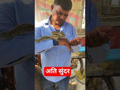 अति सुंदर @SadhanPath @BhajanMarg #viral #viraltoday #cute#trending #baby#sikhism#sikh#live