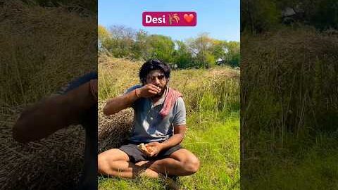 Desi 🌾 ❤️ #desi #shorts