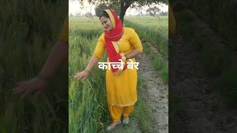 काच्चे बेर #viral #desi #farming #youtubeshorts