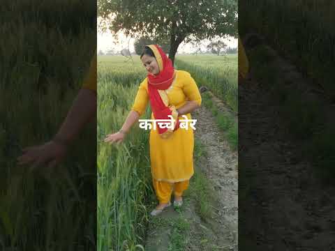 काच्चे बेर #viral #desi #farming #youtubeshorts