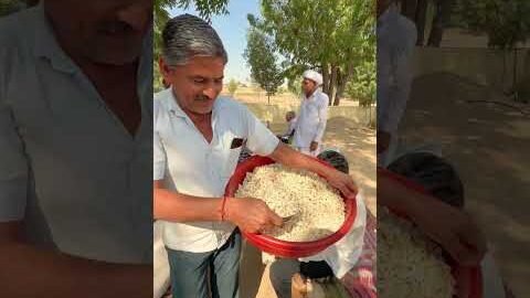 गाँव की होली का प्रोग्राम 😍 #gaon #holi #rajasthani #rajasthan #love #culture #desi #youtubeshorts