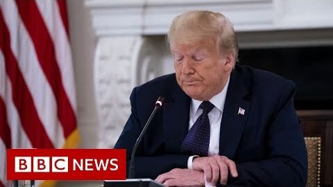 Trump promotes conspiracy theory about a viral video of a man pushed by police in Buffalo – BBC News