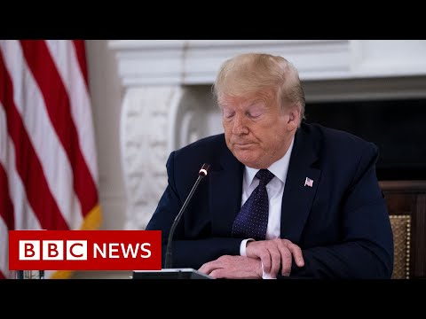 Trump promotes conspiracy theory about a viral video of a man pushed by police in Buffalo – BBC News