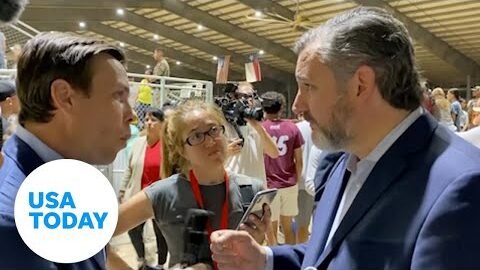 ‘Why only in America?’: UK reporter presses Sen. Cruz on gun control | USA TODAY