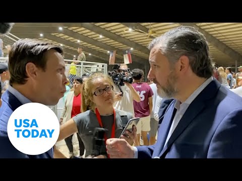 ‘Why only in America?’: UK reporter presses Sen. Cruz on gun control | USA TODAY