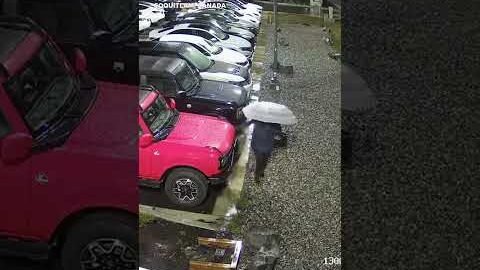 Surveillance footage captures woman keying over 400 cars #Shorts