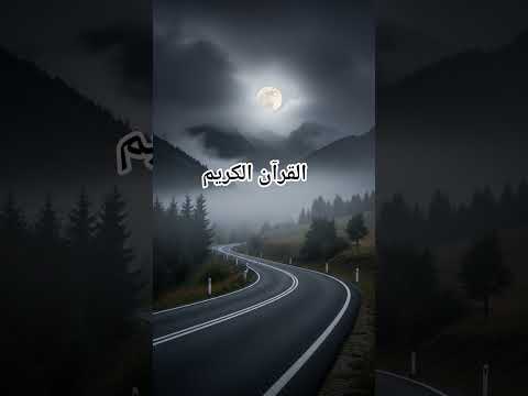 Quran Urdu translation #love #quran #quranictranslation #duet #viralreels #trending #shorts #shortvi