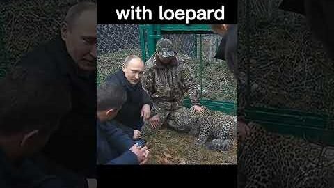 #Vladimir #Putin with loepard #shorts #ytshorts #viral #trending #new #latest #Russia #war #USA #EU