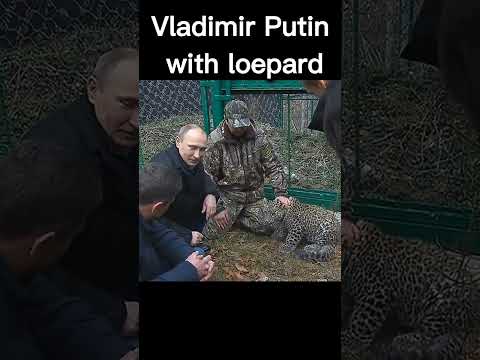#Vladimir #Putin with loepard #shorts #ytshorts #viral #trending #new #latest #Russia #war #USA #EU