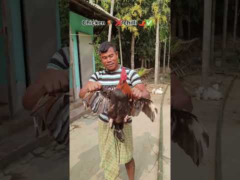 Desi chicken 🍗 🐔 🌶️😋 #viralvideo #desihomegym  #youtubeshorts #eatingchallenge#viralvideo