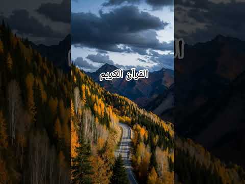 Quran Urdu translation #love #qqu #quran #shorts #viral #trending #shortvideo #short #reels #funny