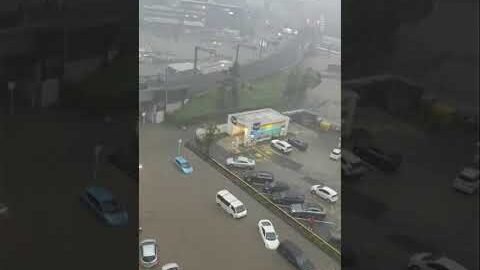 Auckland, New Zealand hit by deadly flooding, torrential rain | USA TODAY #Shorts