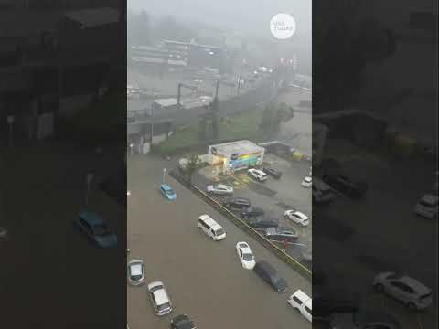 Auckland, New Zealand hit by deadly flooding, torrential rain | USA TODAY #Shorts