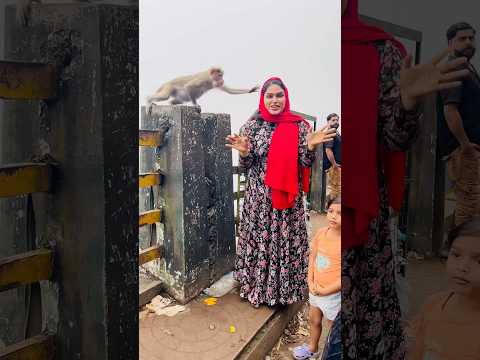 ഡാ കൊരങ്ങാ..😜| Malayalam Comedy Videos | Ownvoice Funny Shorts | Viral Monkey Attack | Thamarasheri