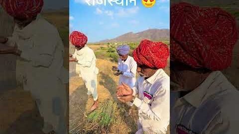 गांव में गेहू के चने खाने का अनोखा तरीका😍#desi #life #rajasthan #rajasthani #village #facts #shorts