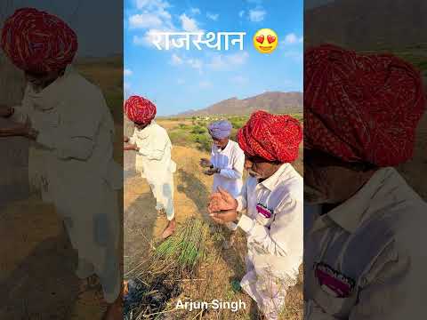 गांव में गेहू के चने खाने का अनोखा तरीका😍#desi #life #rajasthan #rajasthani #village #facts #shorts