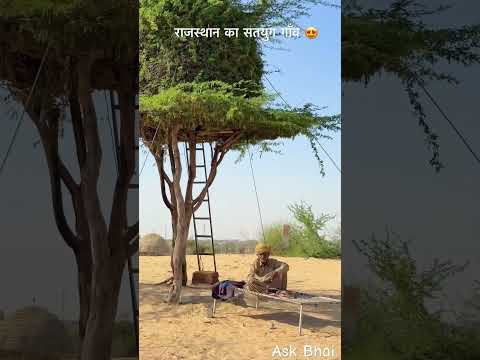 एक गाँव जहाँ जानवर और पेड़ो से प्रेम है😍 #desi #life #rajasthan #rajasthani #village #facts #shorts