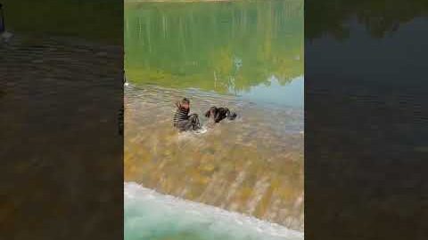 29 December nu chdiya #punjabisong #newsong #song #punjabi #music #suchayaar #ohiyaar #love