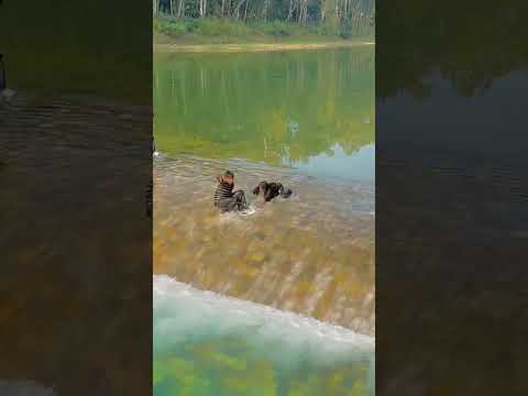 29 December nu chdiya #punjabisong #newsong #song #punjabi #music #suchayaar #ohiyaar #love