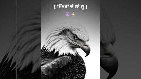 Armed | Gaggu Sajjan | Latest New Punjabi Song Status 2025 #gaggusajjan #trending #trendingshorts