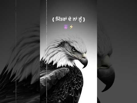 Armed | Gaggu Sajjan | Latest New Punjabi Song Status 2025 #gaggusajjan #trending #trendingshorts