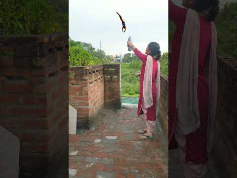 thaa varinder brar new punjabi song | punjabi song | thaa punjabi song varinder brar