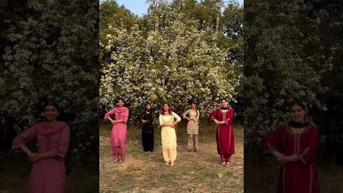 new punjabi bhangra girls video 😍😍#punjabisong #shorts #viral