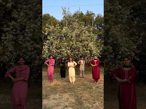 new punjabi bhangra girls video 😍😍#punjabisong #shorts #viral