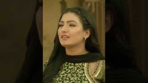 Bapu Taa Mera Jahaz Vi De Du #Dialogue #Shorts #YouTubeShorts #ViralVideo #PunjabiSong