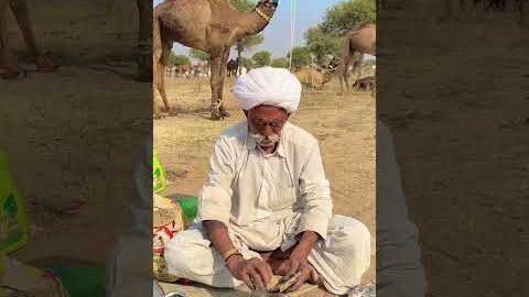शुद्ध स्वादिष्ट खाना😘 #desi #food #rajasthan #khana #roti #youtubeshorts #villagelife #reel #shorts