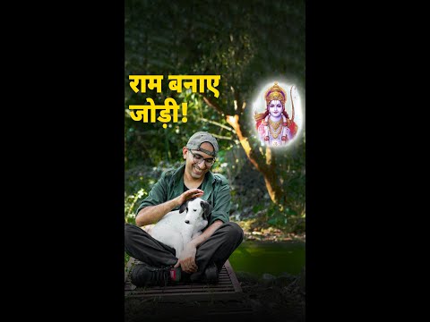 Desi dogs best kyun hote hain? |