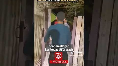 Alien Found in Las Vegas?