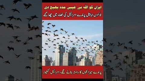 surah|rehman|surat|yaseen|sura|rehman|surah|yasin|quran|ki|tilawat|ko|ky|ka|naat|status