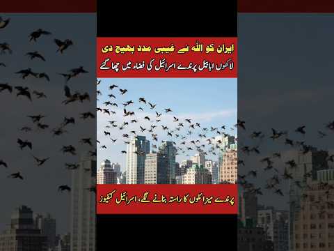 surah|rehman|surat|yaseen|sura|rehman|surah|yasin|quran|ki|tilawat|ko|ky|ka|naat|status