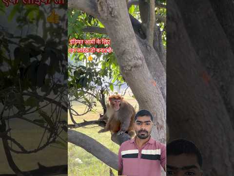 बंदर आ गया #army #shortsfeed #trending #shorts