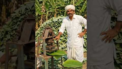 केले के पत्तों से प्लेट बनाने की मशीन 😲 | Desi Jugaad #IndianFarmer #Shorts #YouTubeShorts #Trending