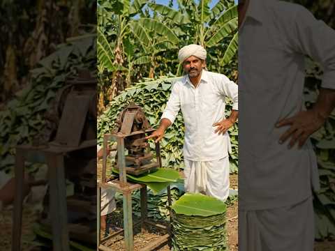 केले के पत्तों से प्लेट बनाने की मशीन 😲 | Desi Jugaad #IndianFarmer #Shorts #YouTubeShorts #Trending