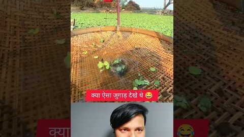 Amazing Fish Trap Trick 😲 | Desi Fishing Hack Reaction 🎣 #shorts #desi #fishing #hack #reaction
