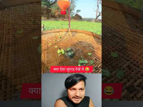 Amazing Fish Trap Trick 😲 | Desi Fishing Hack Reaction 🎣 #shorts #desi #fishing #hack #reaction