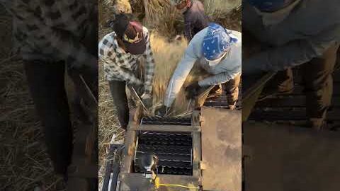 Desi Jugaad by Farming #Desi #Jugaad #Jugad #Farming #Kheti #Khetibadi #Agriculture #Tractor