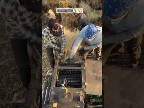 Desi Jugaad by Farming #Desi #Jugaad #Jugad #Farming #Kheti #Khetibadi #Agriculture #Tractor