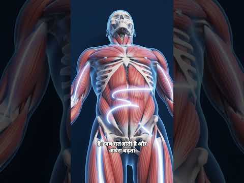 Why does a Person need Sleep ? | #shorts #viral #bodyscience #facts #trending