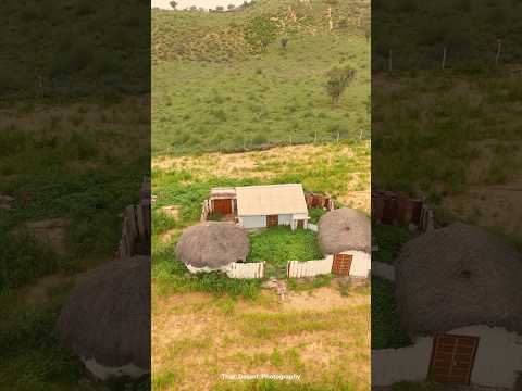 रेगिस्तान के शुकून भरे नजारे😍 #desi #sukun #villagelife  #nature