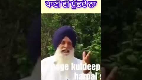 ਪਾਣੀ ਵੀ ਪੁੱਛਦੇ ਨਾ#harpalshamla #shorts #kuldeepchatha #mewapalia #newpunjabisong