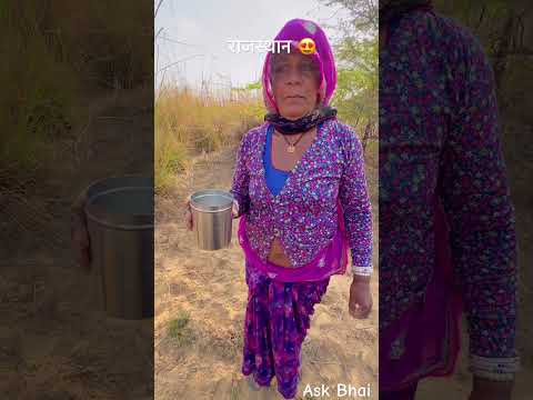 राजस्थान के भेड़ बकरिया चराने का जीवन 😍 #desi #life #rajasthan #rajasthani #village #facts #shorts