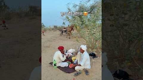 गुड़ और सोगरा 😍 #rajasthan #food #youtubeshorts #desi #khana #shorts #foodie #village #mela #reel